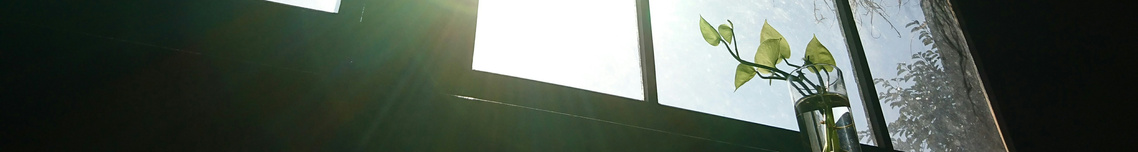 Photo by Lhar Capili on Unsplash