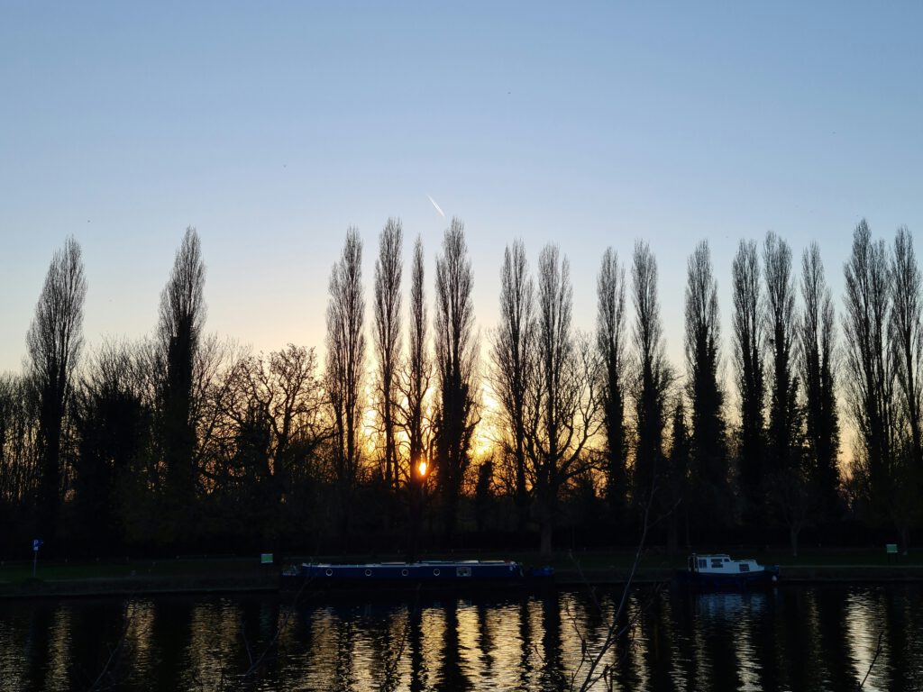 Drug and Alcohol Treatment Review