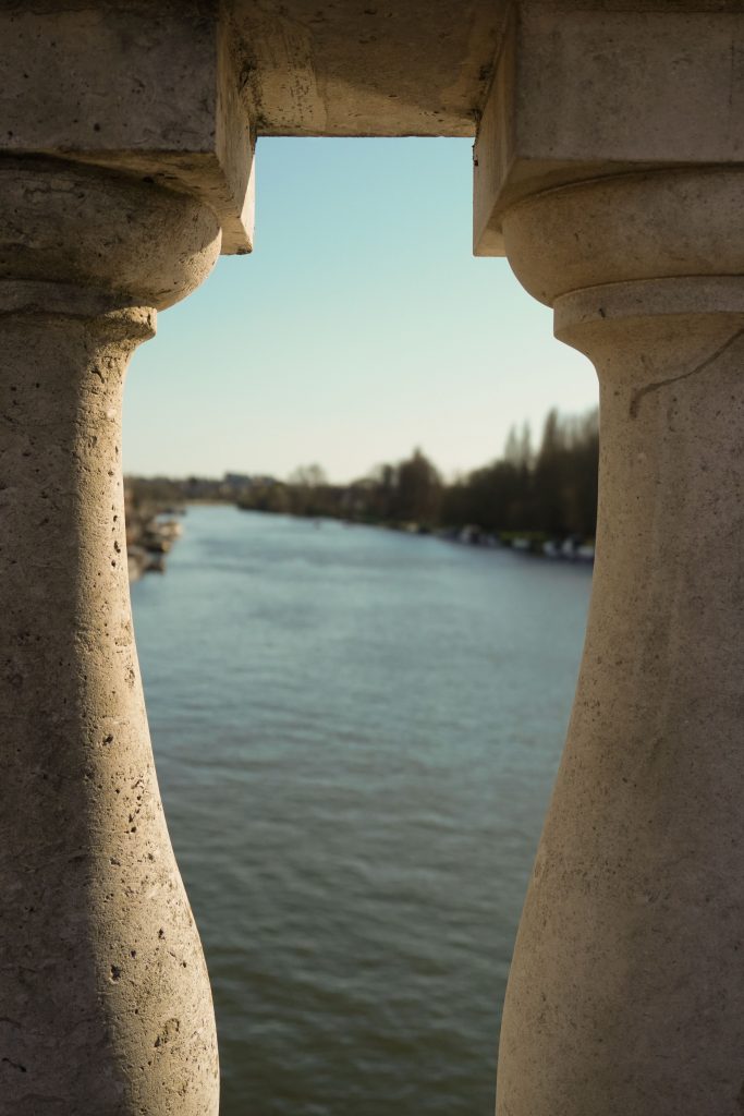 Data and Insights Officer